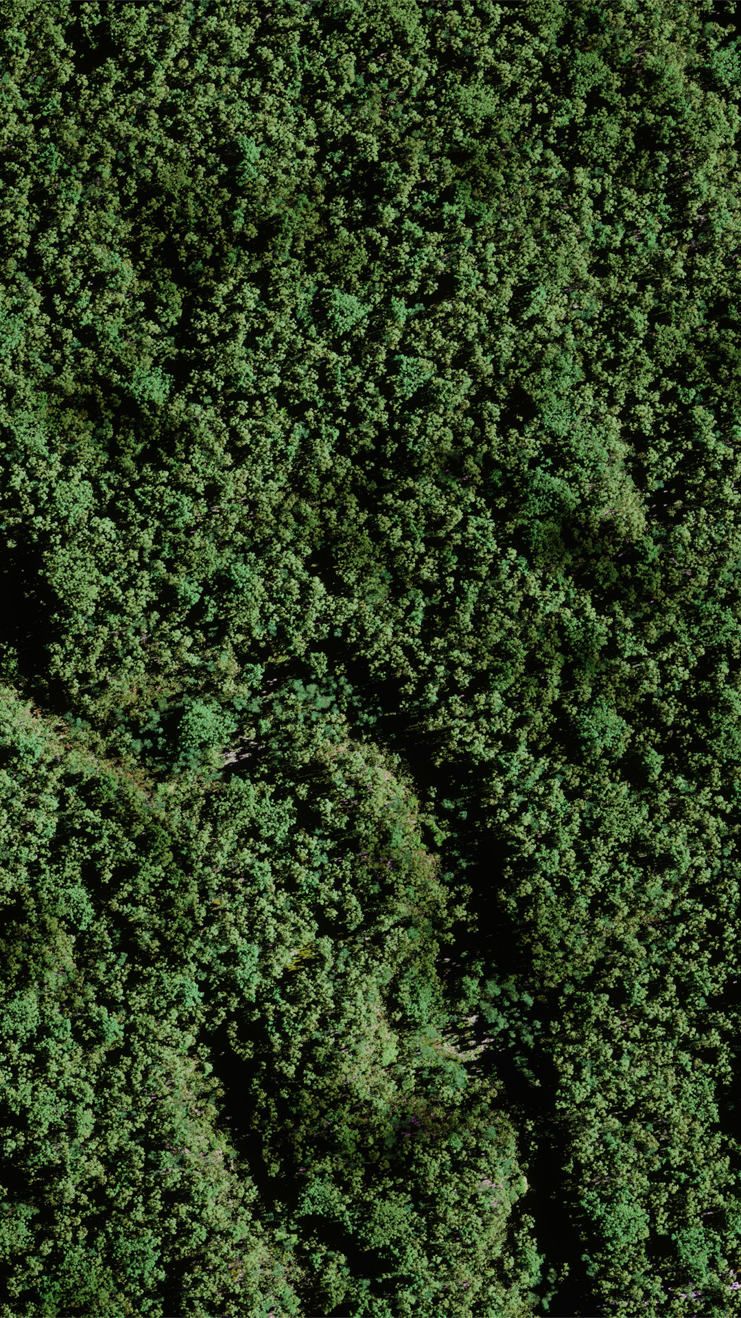 landing_mobile